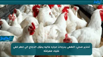تحذير صحي: الطهي بدرجات حرارة عالية يحوّل الدجاج إلى خطر خفي عليك معرفته